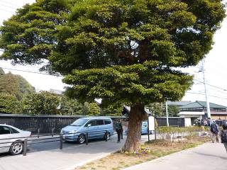 20110206_11.jpg